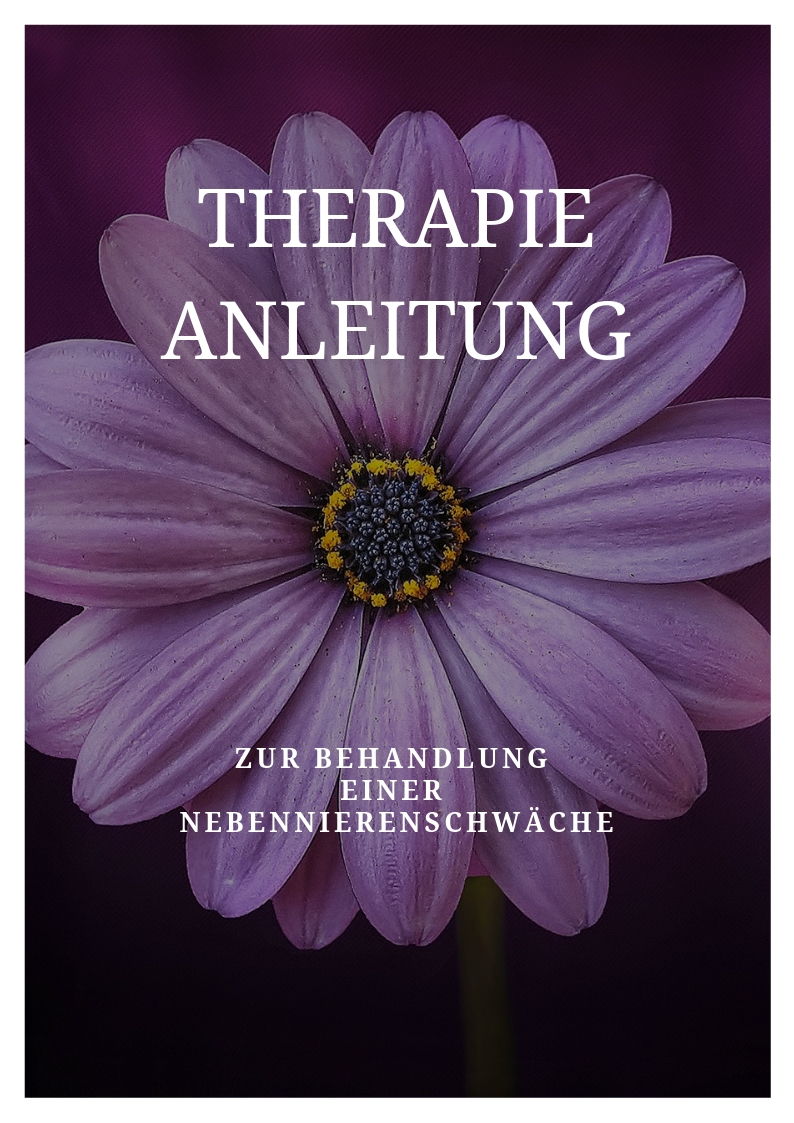 Beispiel Therapie-Anleitung_Seite_1