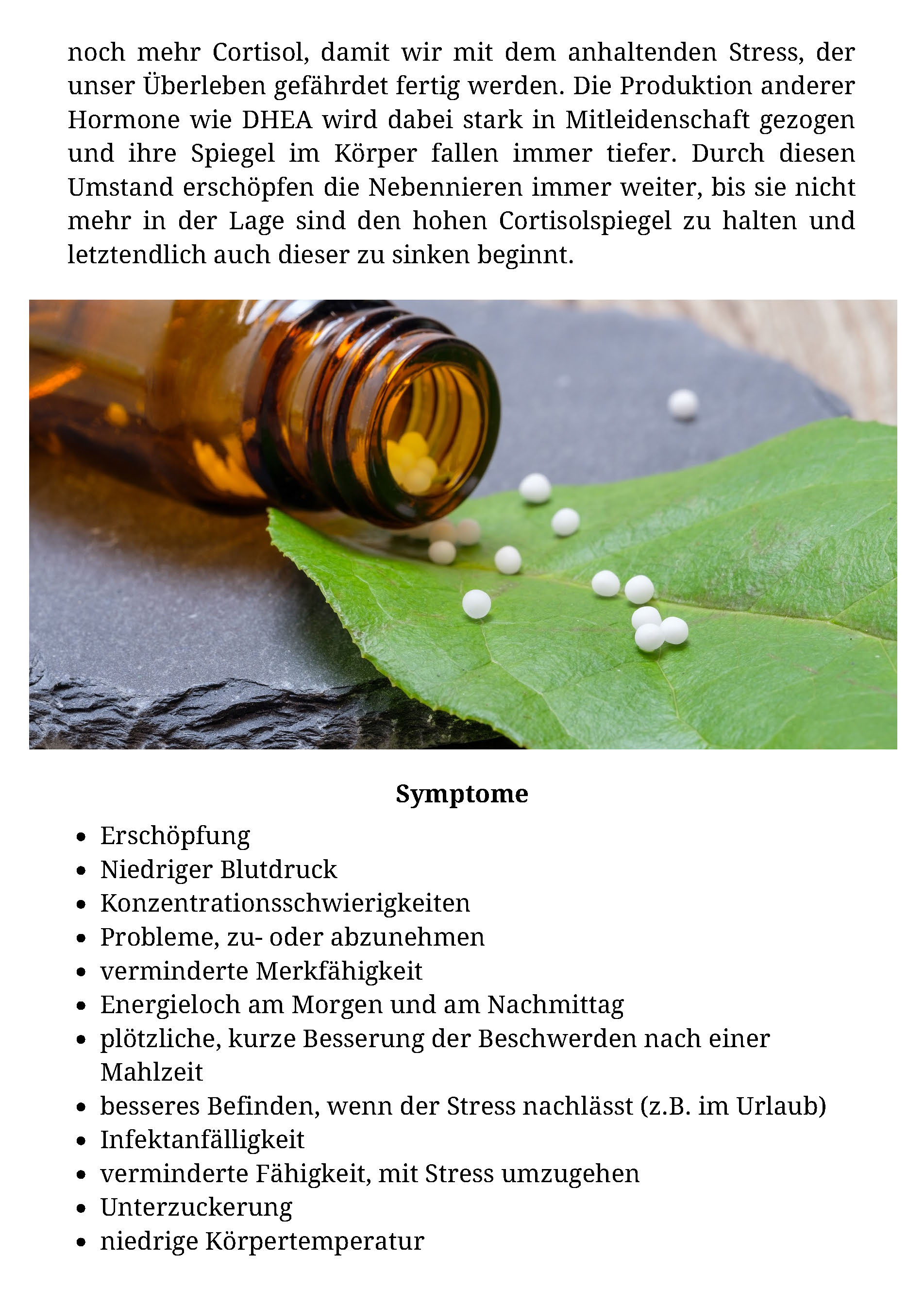 Beispiel Therapie-anleitung_Seite_3