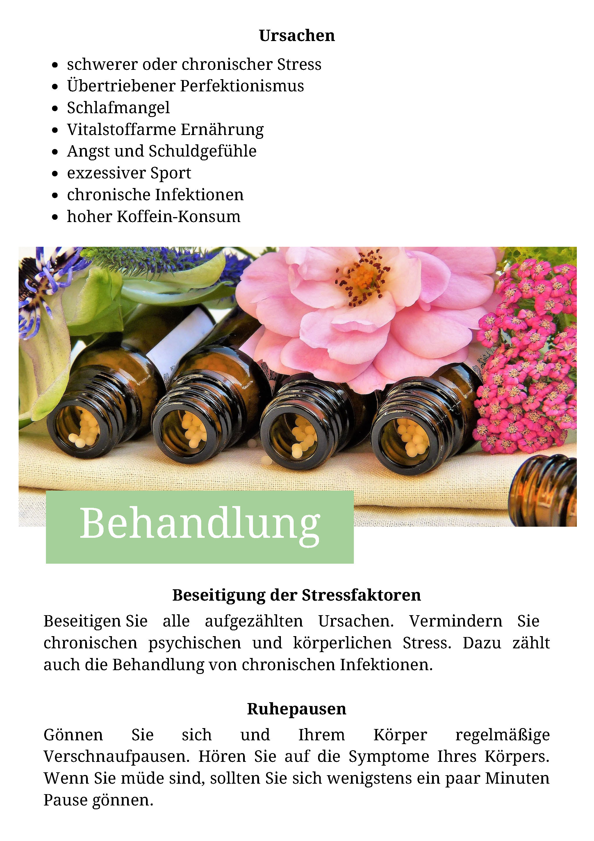 Beispiel Therapie-anleitung_Seite_4